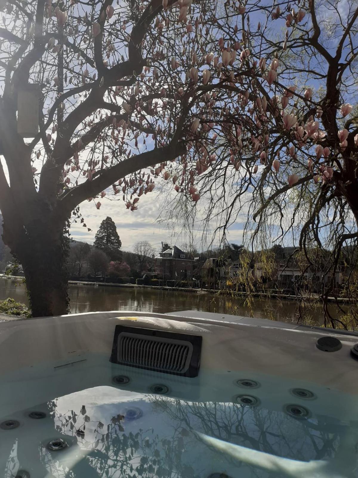 Villa Pieds Dans L'Eau Private Wellness Bordure De Meuse Lustin Esterno foto