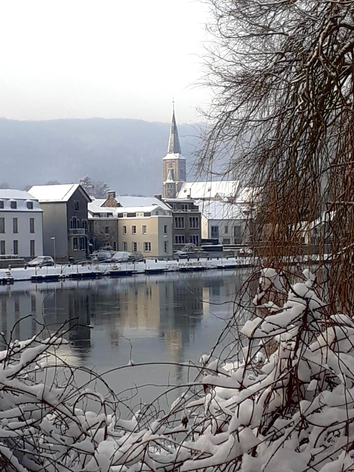 Villa Pieds Dans L'Eau Private Wellness Bordure De Meuse Lustin Esterno foto
