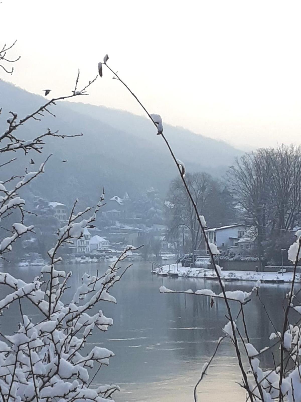 Villa Pieds Dans L'Eau Private Wellness Bordure De Meuse Lustin Esterno foto