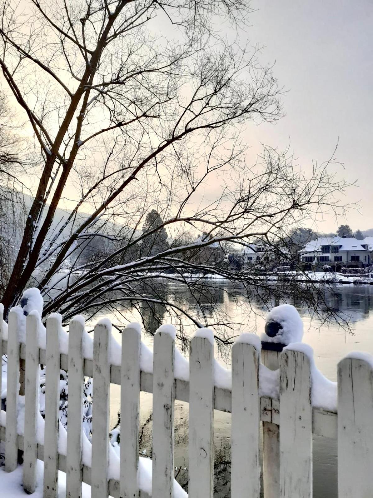 Villa Pieds Dans L'Eau Private Wellness Bordure De Meuse Lustin Esterno foto