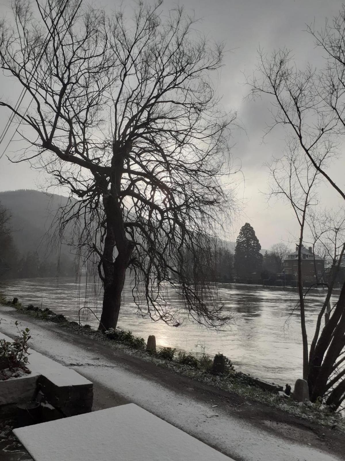 Villa Pieds Dans L'Eau Private Wellness Bordure De Meuse Lustin Esterno foto