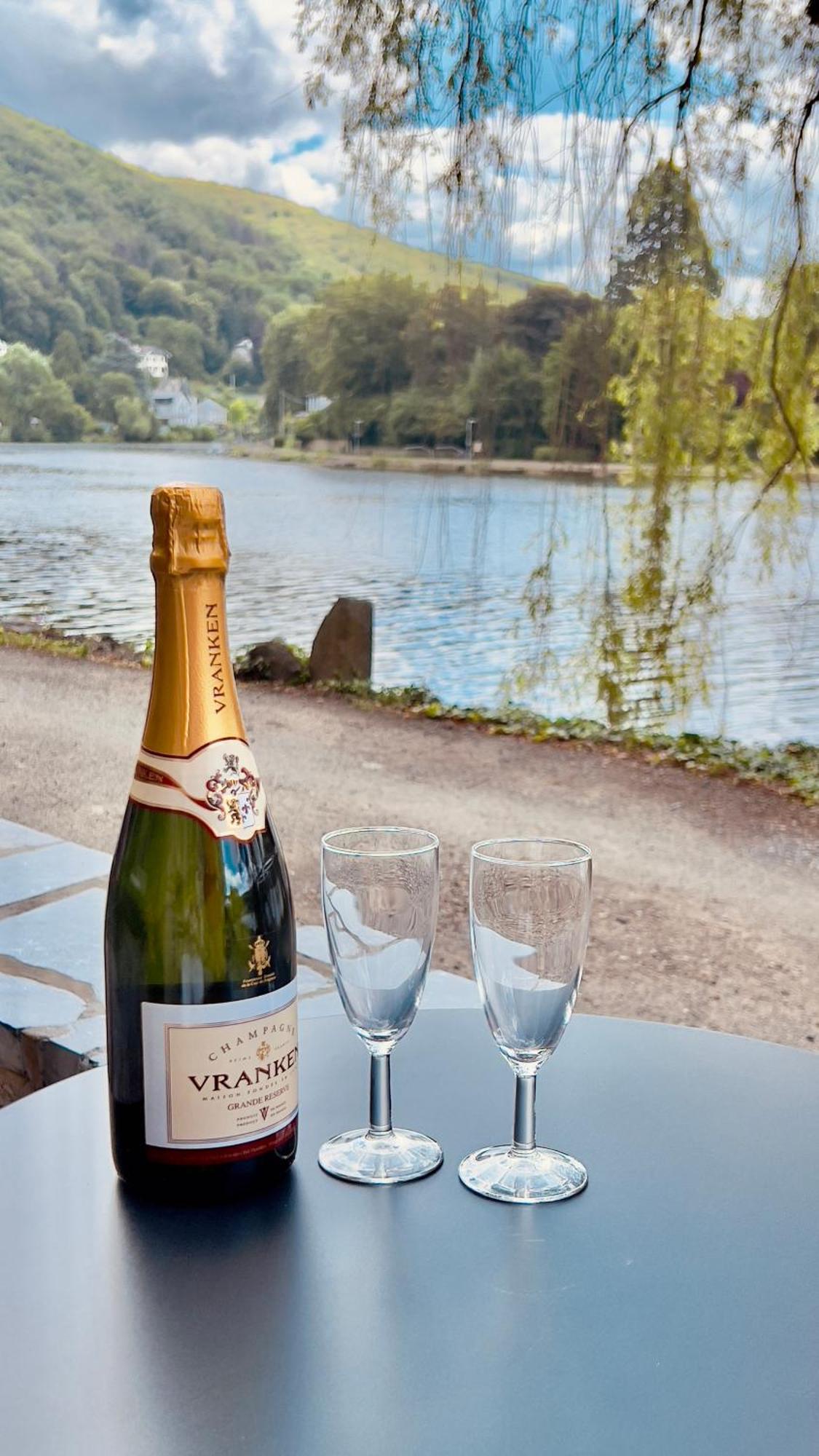 Villa Pieds Dans L'Eau Private Wellness Bordure De Meuse Lustin Esterno foto